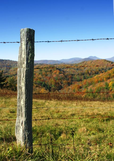 Wooden-fence-post